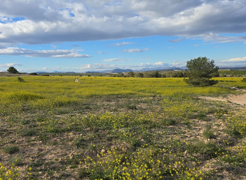 Reventa - Apartments - Flats - Orihuela Costa