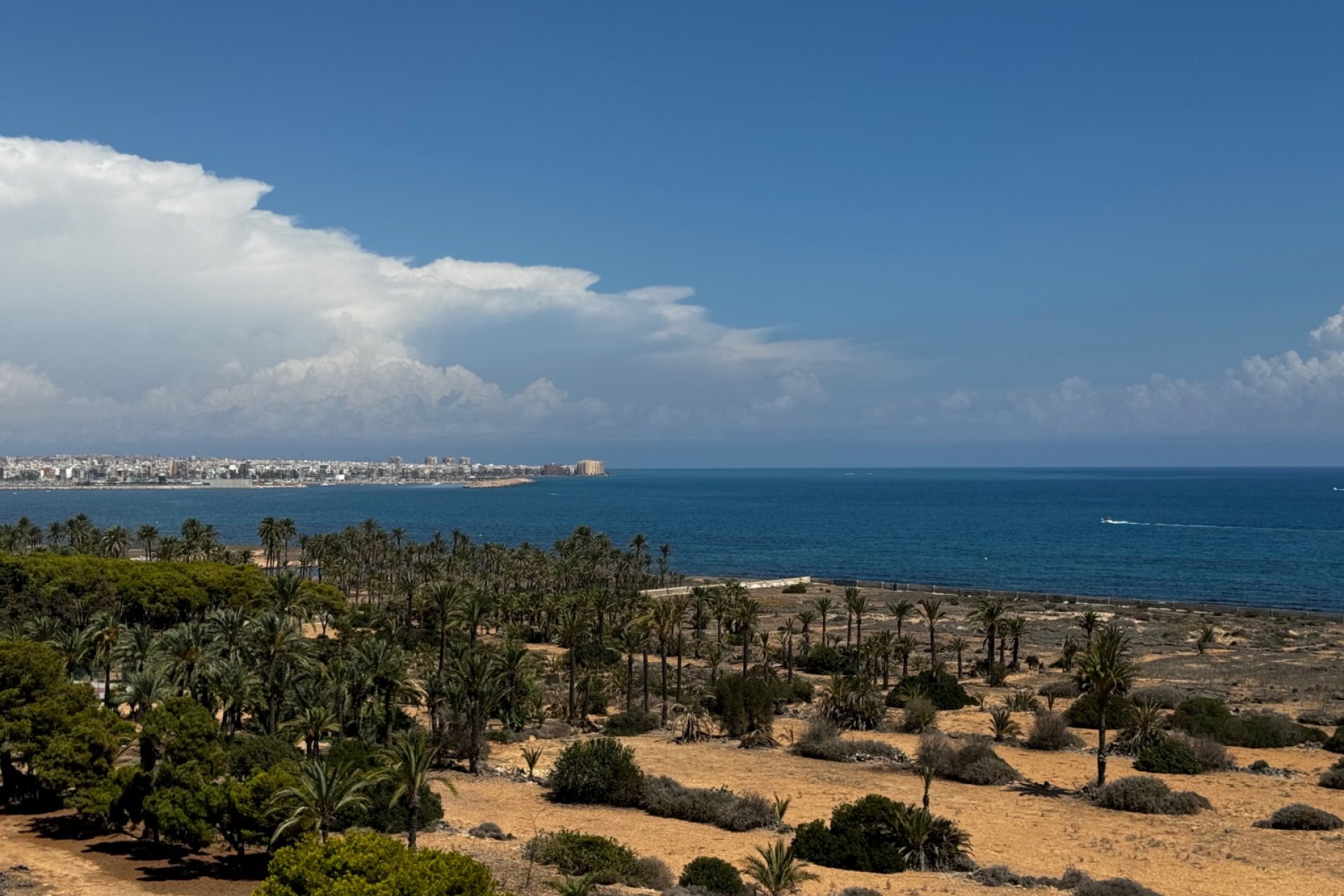 Reventa - Apartments - Flats - Punta Prima