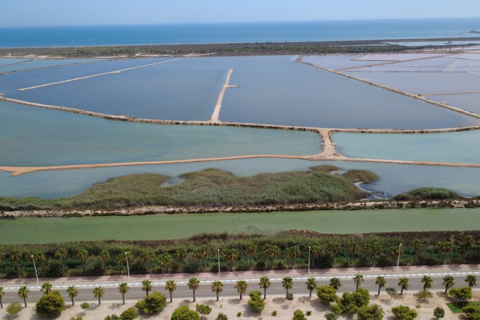 Reventa - Apartments - Flats - San Pedro del Pinatar