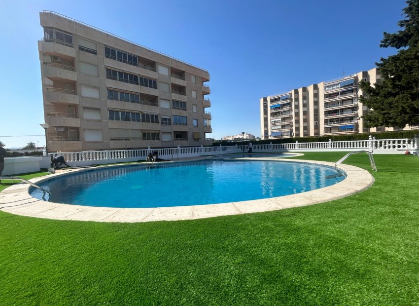 Reventa - Apartments - Flats - Santa Pola - Puerto