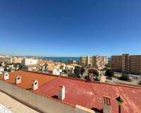 Reventa - Apartments - Flats - Torrevieia - Cabo Cervera