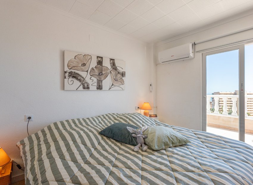 Reventa - Apartments - Flats - Torrevieia - Cabo Cervera