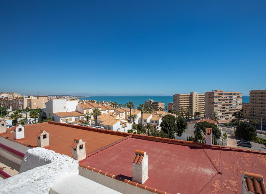 Reventa - Apartments - Flats - Torrevieia - Cabo Cervera