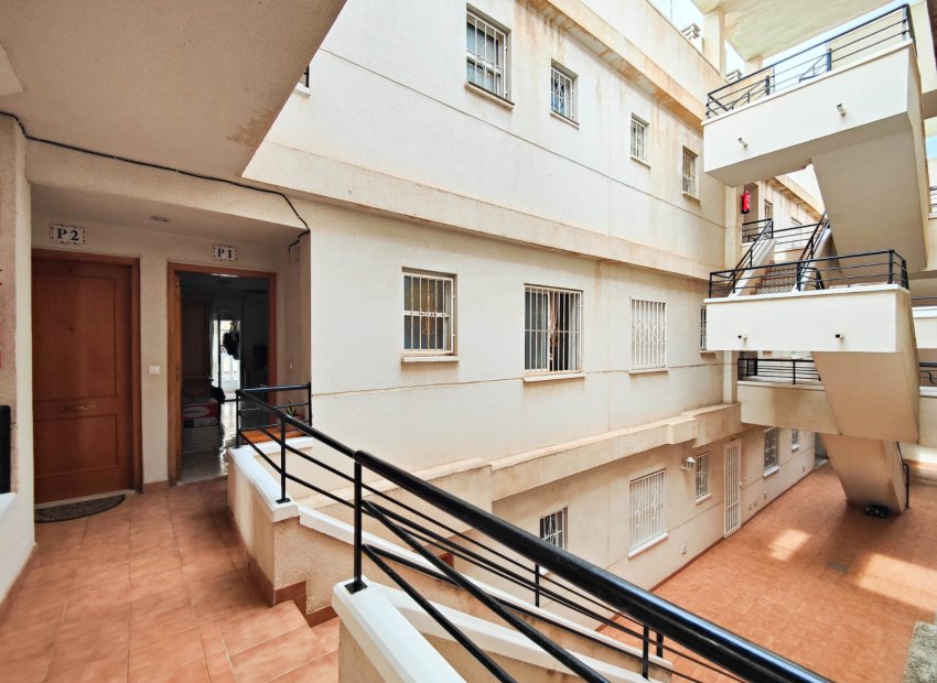 Reventa - Apartments - Flats - Torrevieia - Center