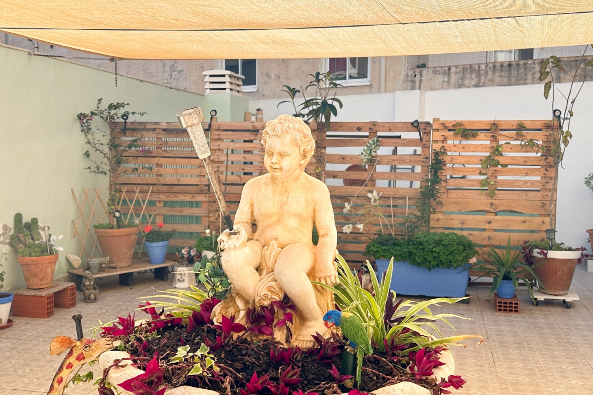 Reventa - Apartments - Flats - Torrevieia - Center