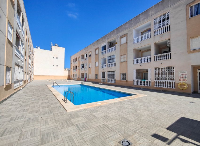 Reventa - Apartments - Flats - Torrevieia - Center