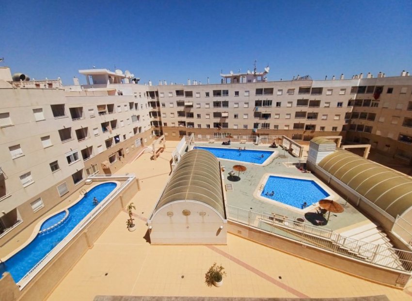 Reventa - Apartments - Flats - Torrevieia - Center