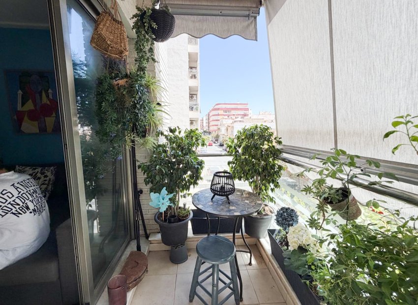 Reventa - Apartments - Flats - Torrevieia - Center