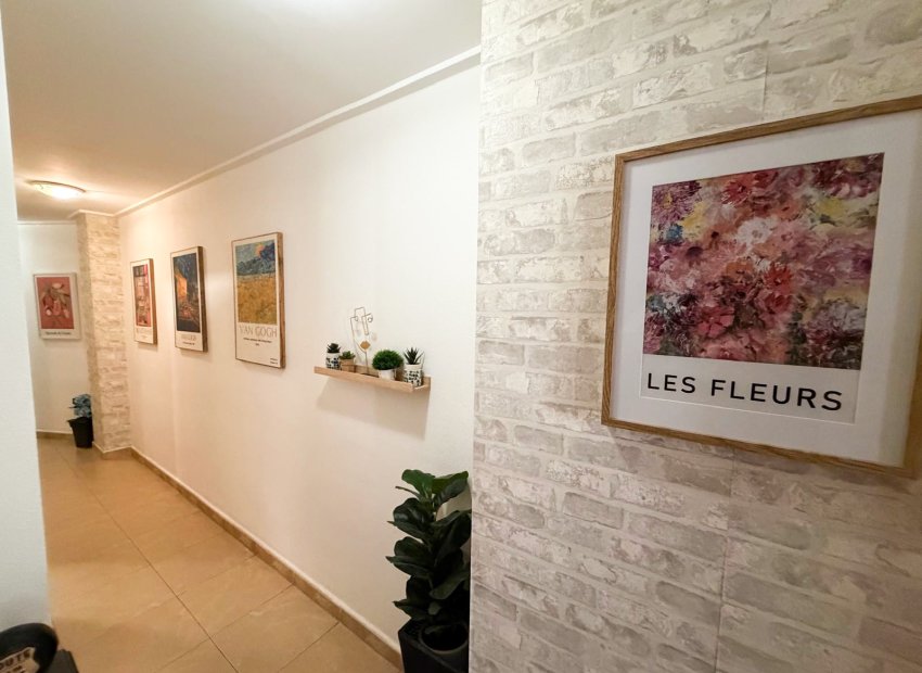 Reventa - Apartments - Flats - Torrevieia - Center