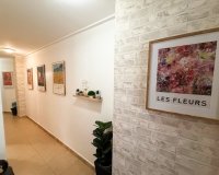 Reventa - Apartments - Flats - Torrevieia - Center