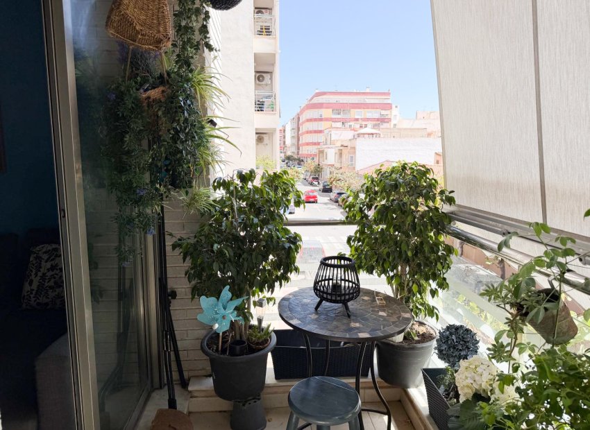 Reventa - Apartments - Flats - Torrevieia - Center