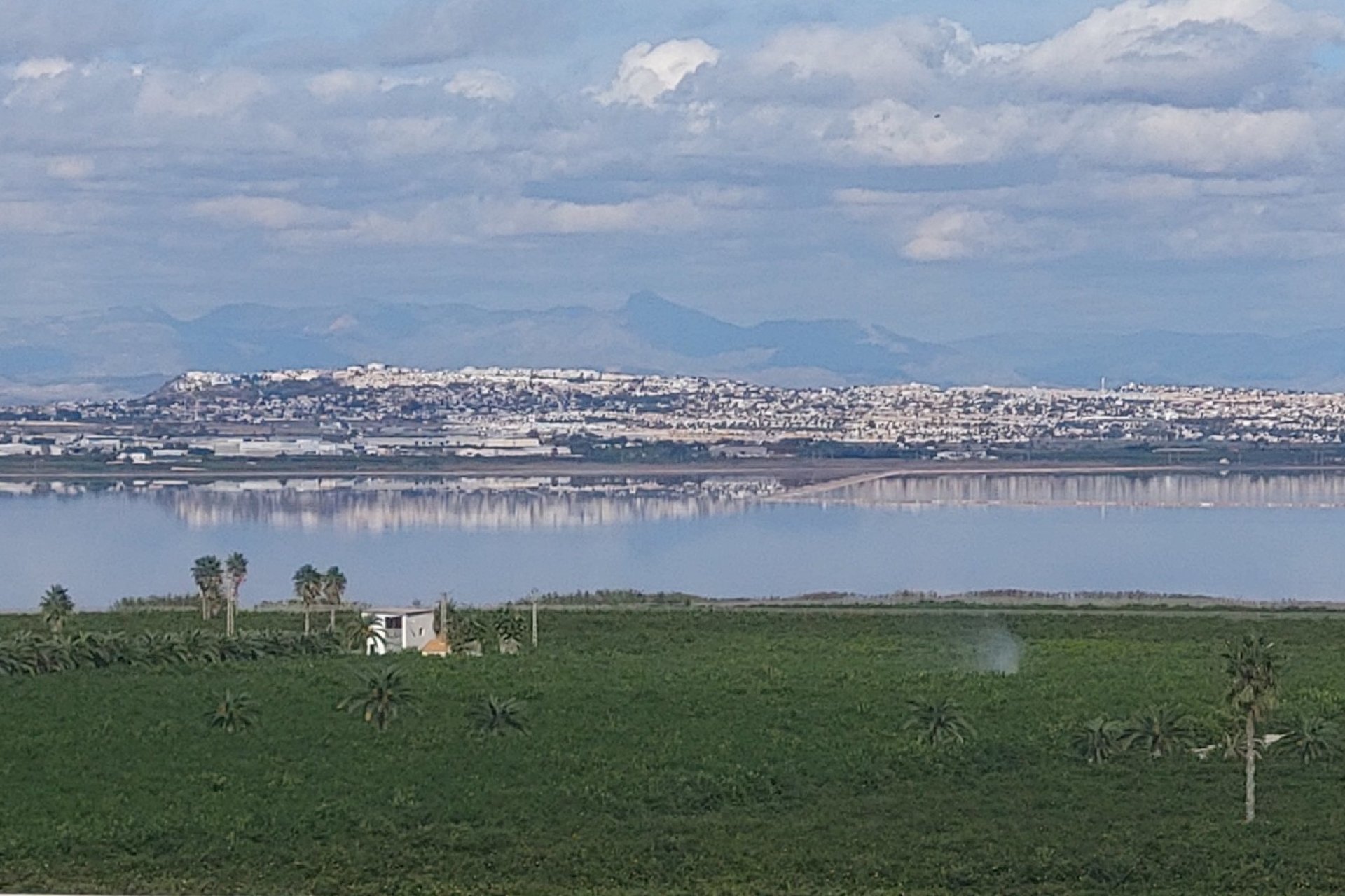 Reventa - Apartments - Flats - Torrevieia - Los Balcones