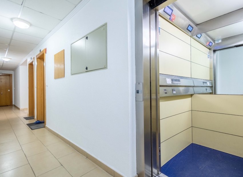 Reventa - Apartments - Flats - Torrevieia - Playa del Cura