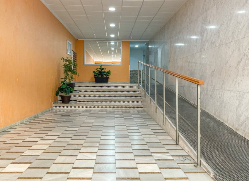 Reventa - Apartments - Flats - Torrevieia - Playa Los Naufragos
