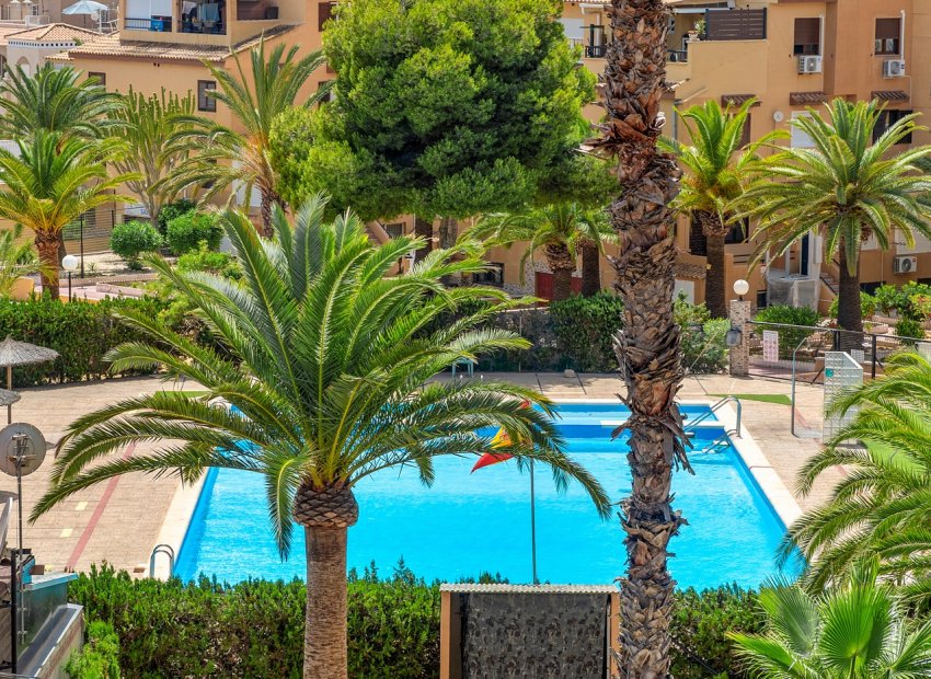 Reventa - Apartments - Flats - Torrevieia - Torrevieja - Aguas Nuevas