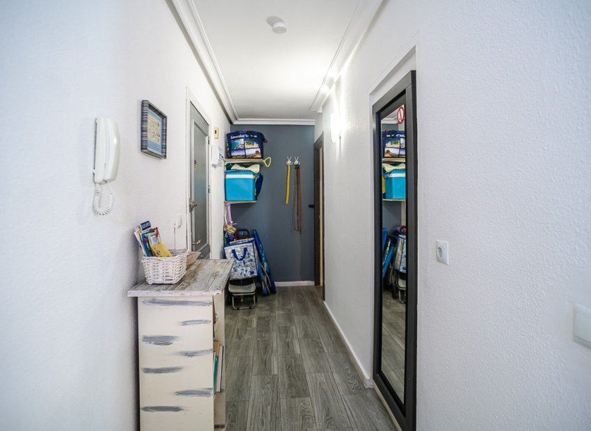 Reventa - Apartments - Flats - Torrevieia - Torrevieja