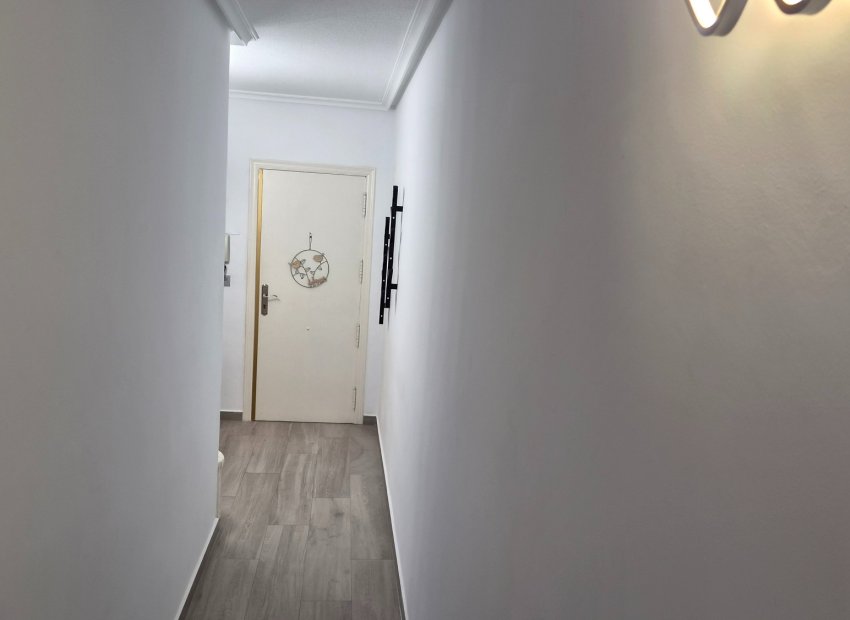 Reventa - Apartments - Flats - Torrevieia - Torrevieja