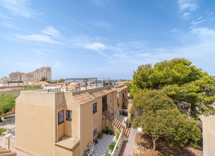 Reventa - Apartments - Flats - Torrevieia - Torrevieja