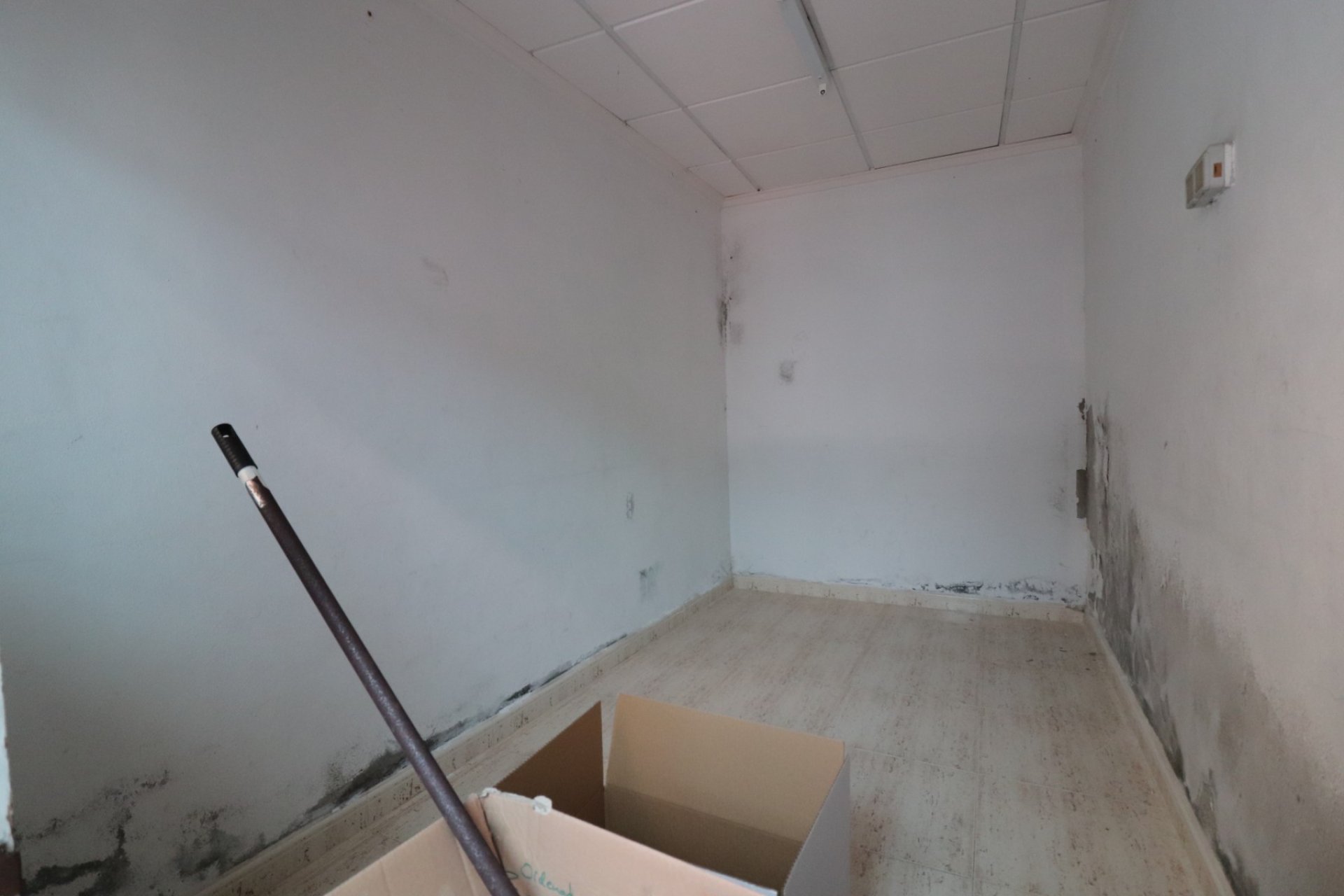 Reventa - Commercial (Rental) - Benijofar