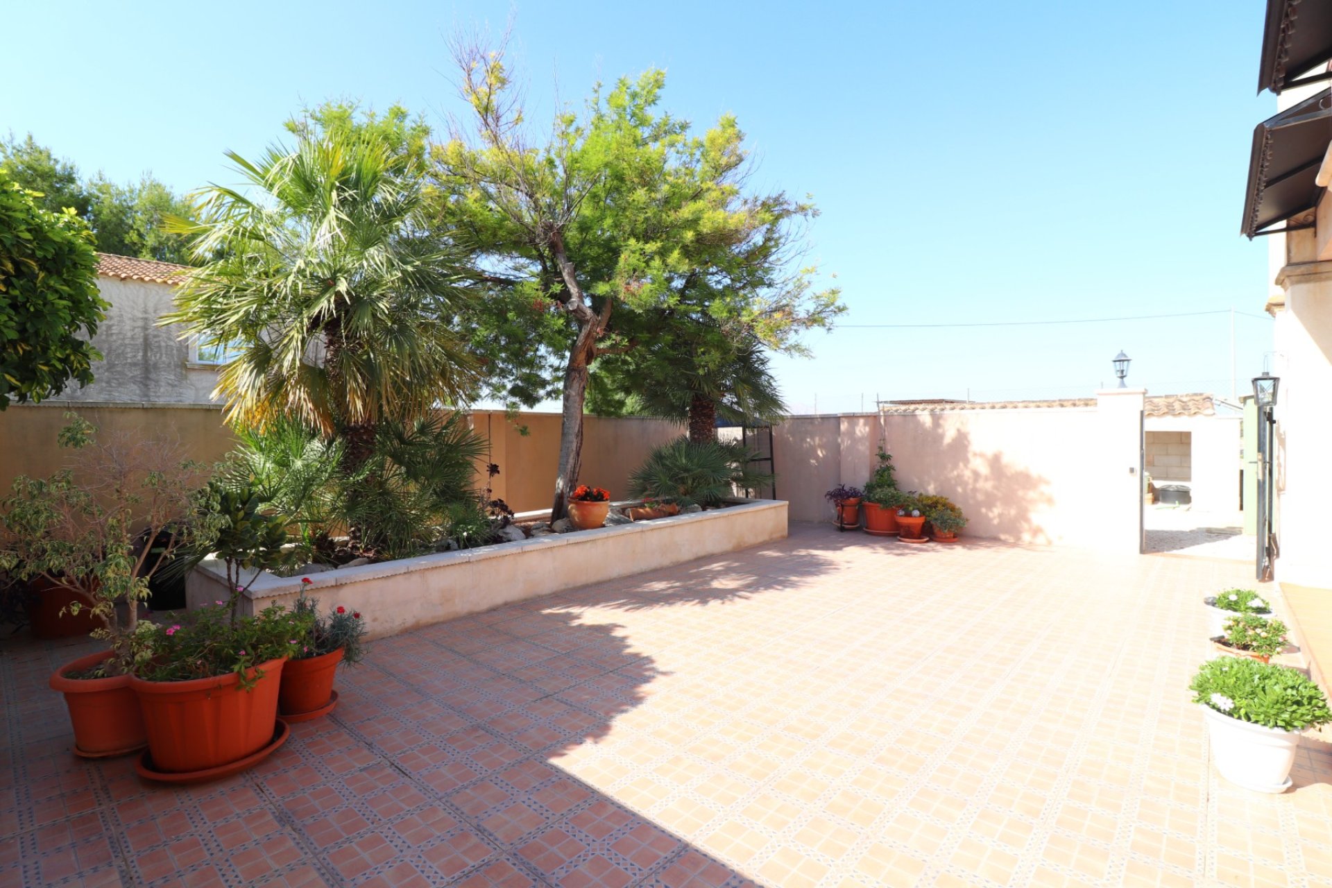 Reventa - Country House - Albatera - Albatera - Country