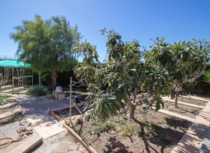 Reventa - Country House - Albatera