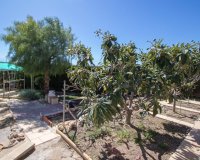 Reventa - Country House - Albatera