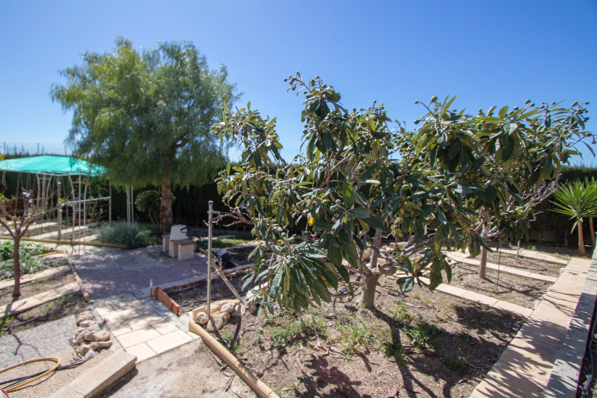 Reventa - Country House - Albatera