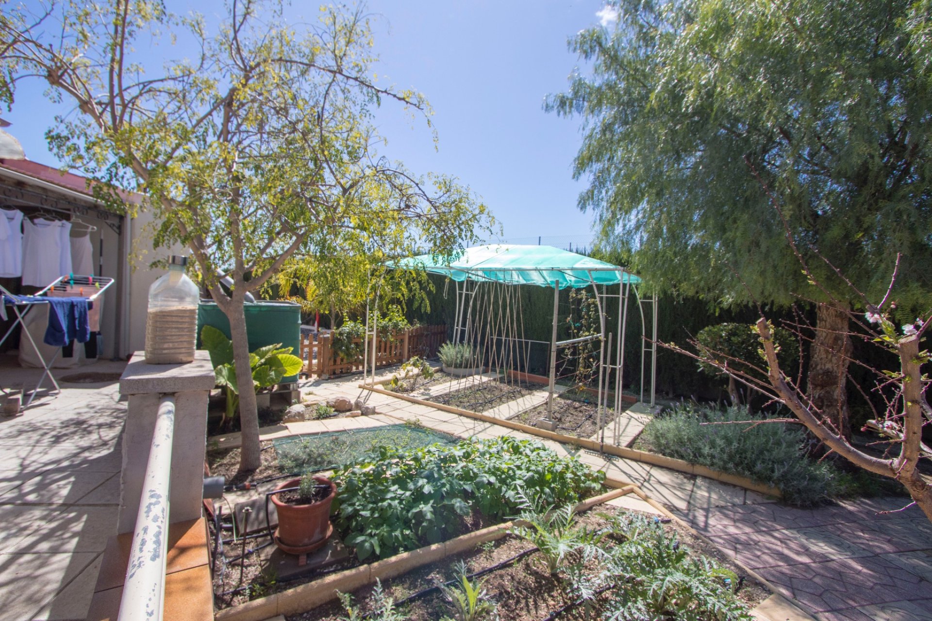 Reventa - Country House - Albatera