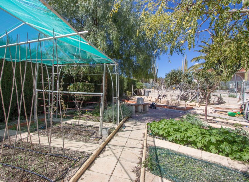 Reventa - Country House - Albatera