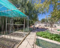 Reventa - Country House - Albatera