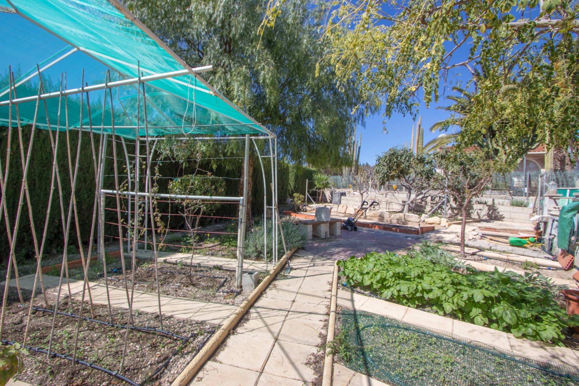 Reventa - Country House - Albatera