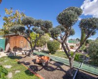 Reventa - Country House - Albatera