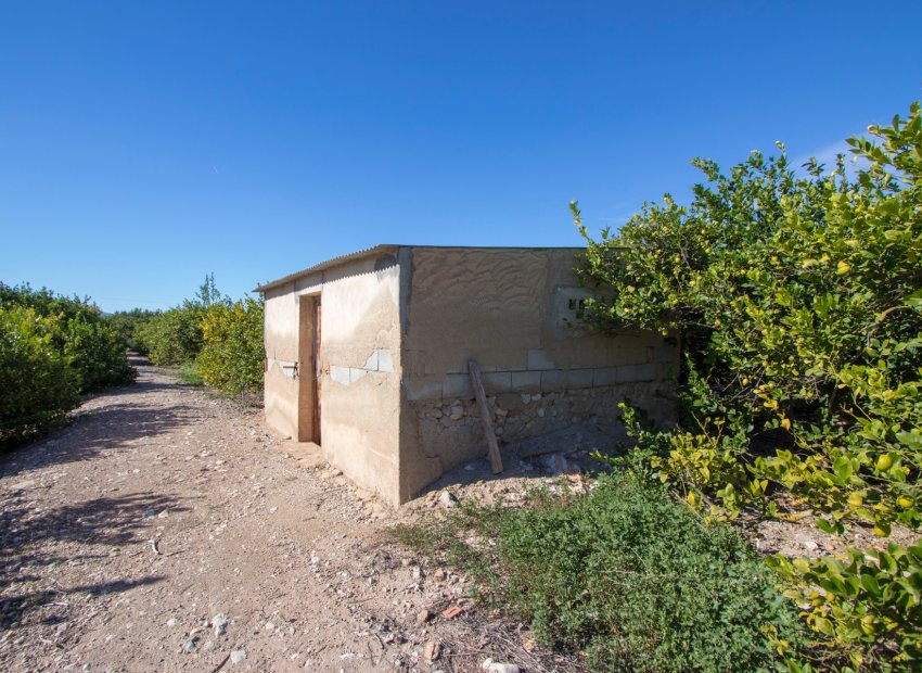 Reventa - Country House - Alicante