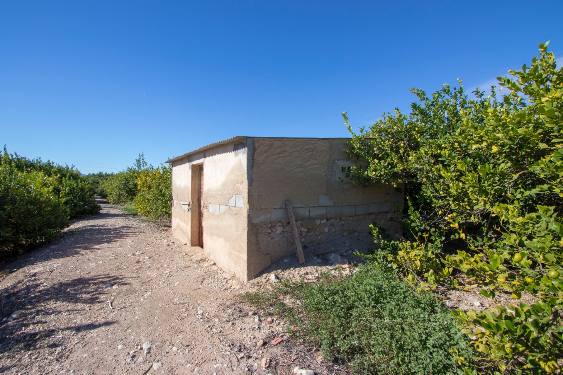 Reventa - Country House - Alicante