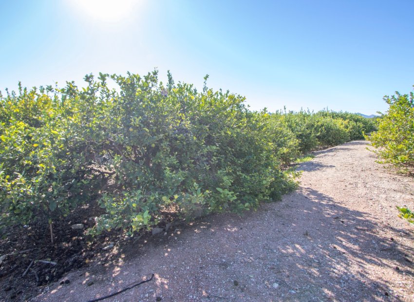 Reventa - Country House - Alicante