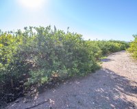 Reventa - Country House - Alicante