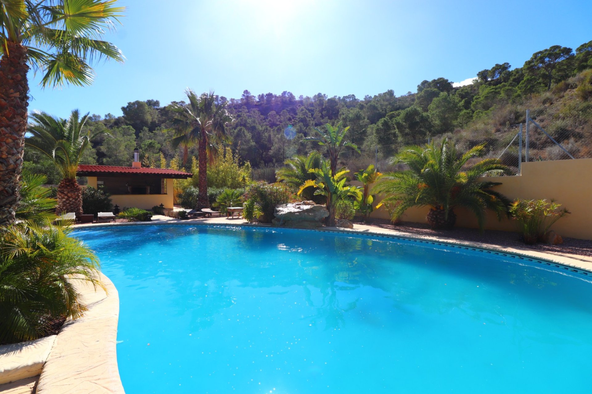 Reventa - Country House - Aspe - Aspe - Country