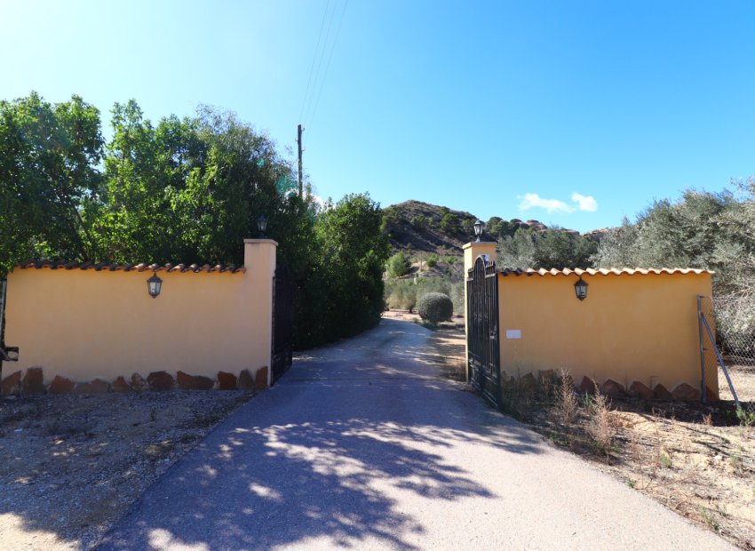 Reventa - Country House - Aspe - Aspe - Country