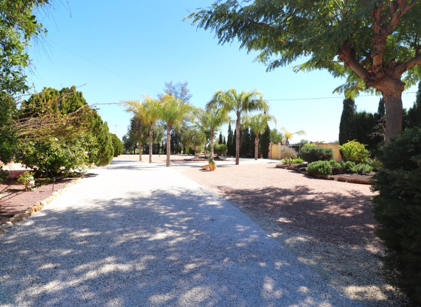 Reventa - Country House - Callosa de Segura - Callosa de Segura - Country