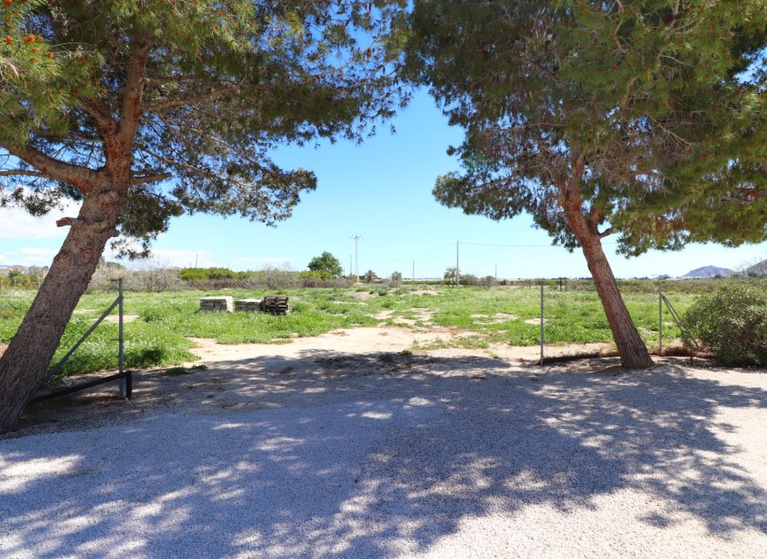 Reventa - Country House - Callosa de Segura - Callosa de Segura - Country