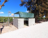 Reventa - Country House - Callosa de Segura - Callosa de Segura - Country