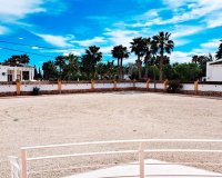 Reventa - Country House - Catral - Catral - Country