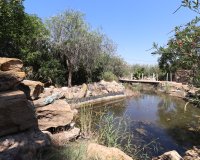 Reventa - Country House - Catral - Catral - Country