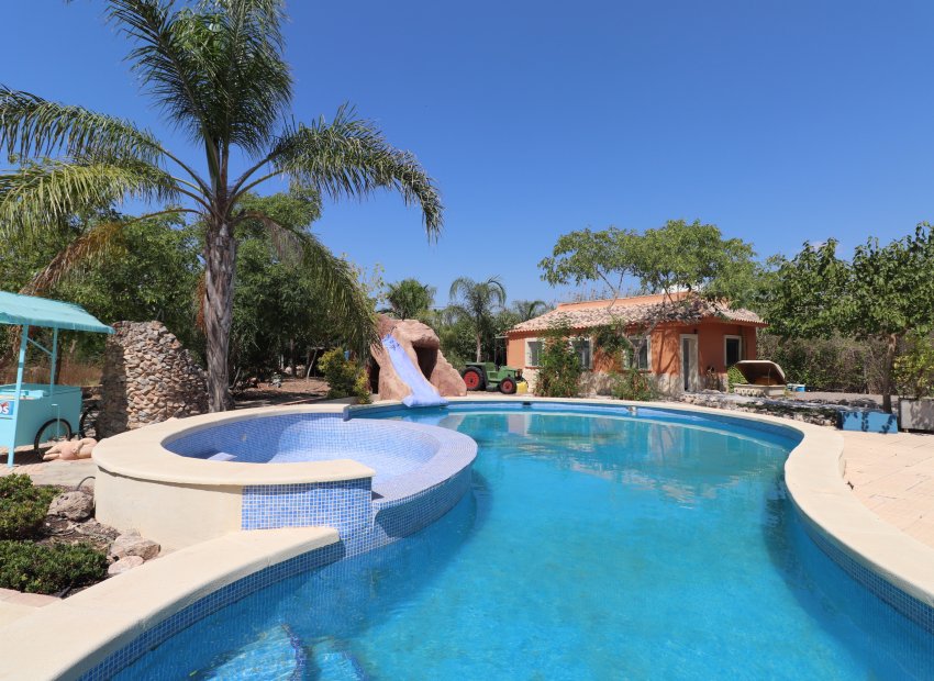 Reventa - Country House - Catral - Catral - Country