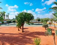 Reventa - Country House - Catral - Catral - Country