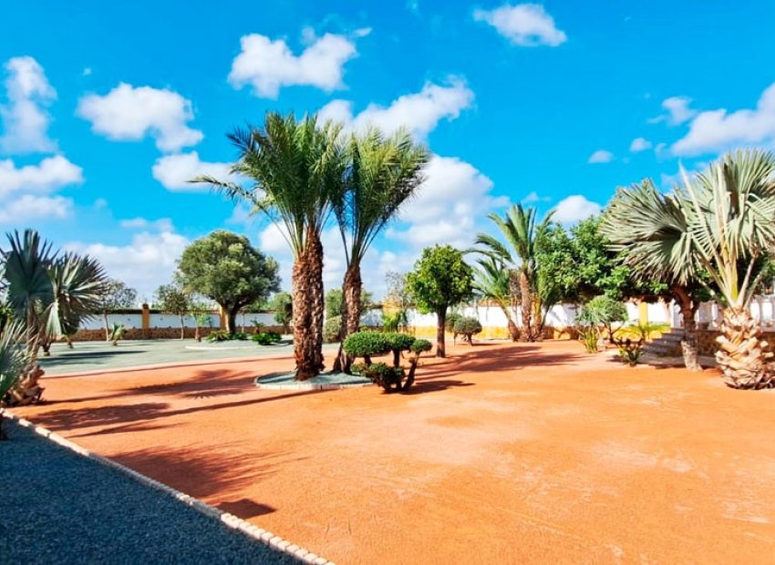 Reventa - Country House - Catral - Catral - Country