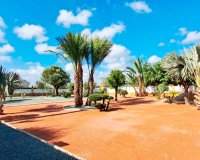 Reventa - Country House - Catral - Catral - Country