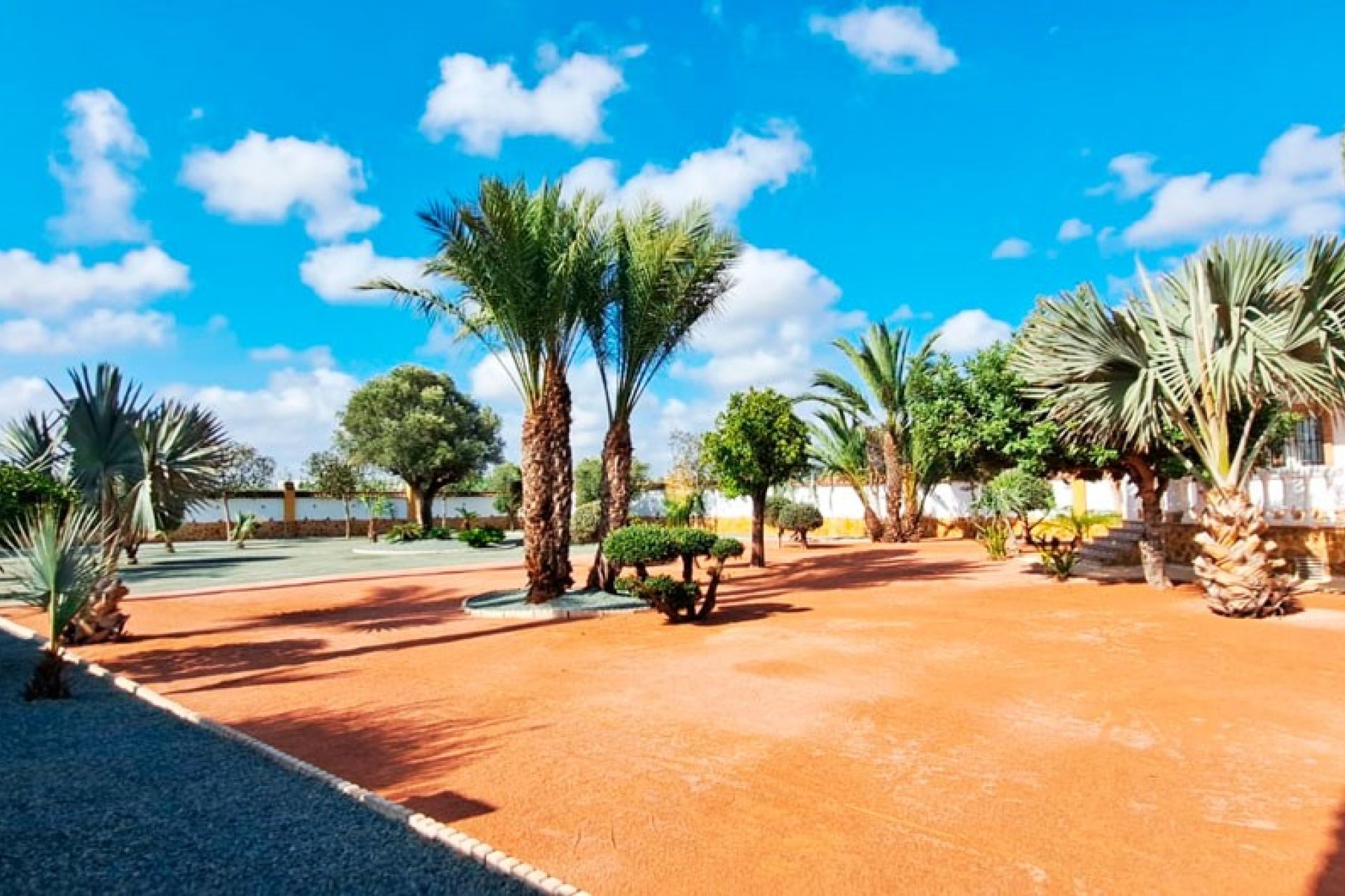 Reventa - Country House - Catral - Catral - Country