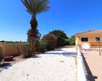 Reventa - Country House - Catral - Catral - Country