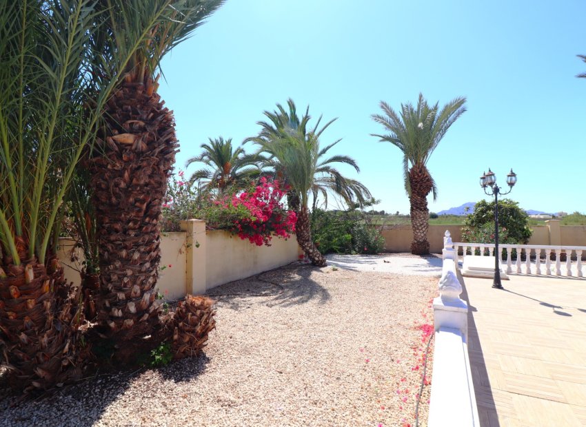 Reventa - Country House - Catral - Catral - Country